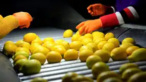 Dijital Lezzet: Yiyecek Tatları Dijital Ortama Aktarıldı!