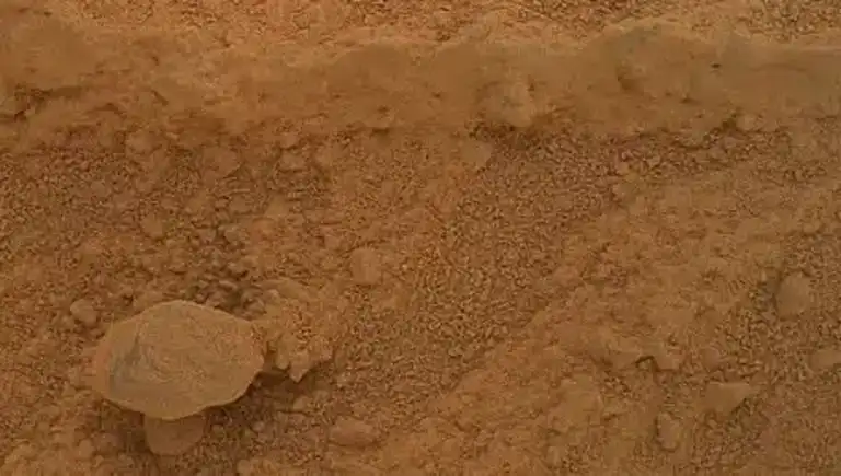Mars'ta Mantar mı Bulundu? NASA Fotoğrafı Tartışmaları Alevlendirdi!